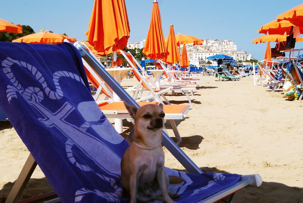 Park Hotel Villa Americana Rodi Garganico Εξωτερικό φωτογραφία
